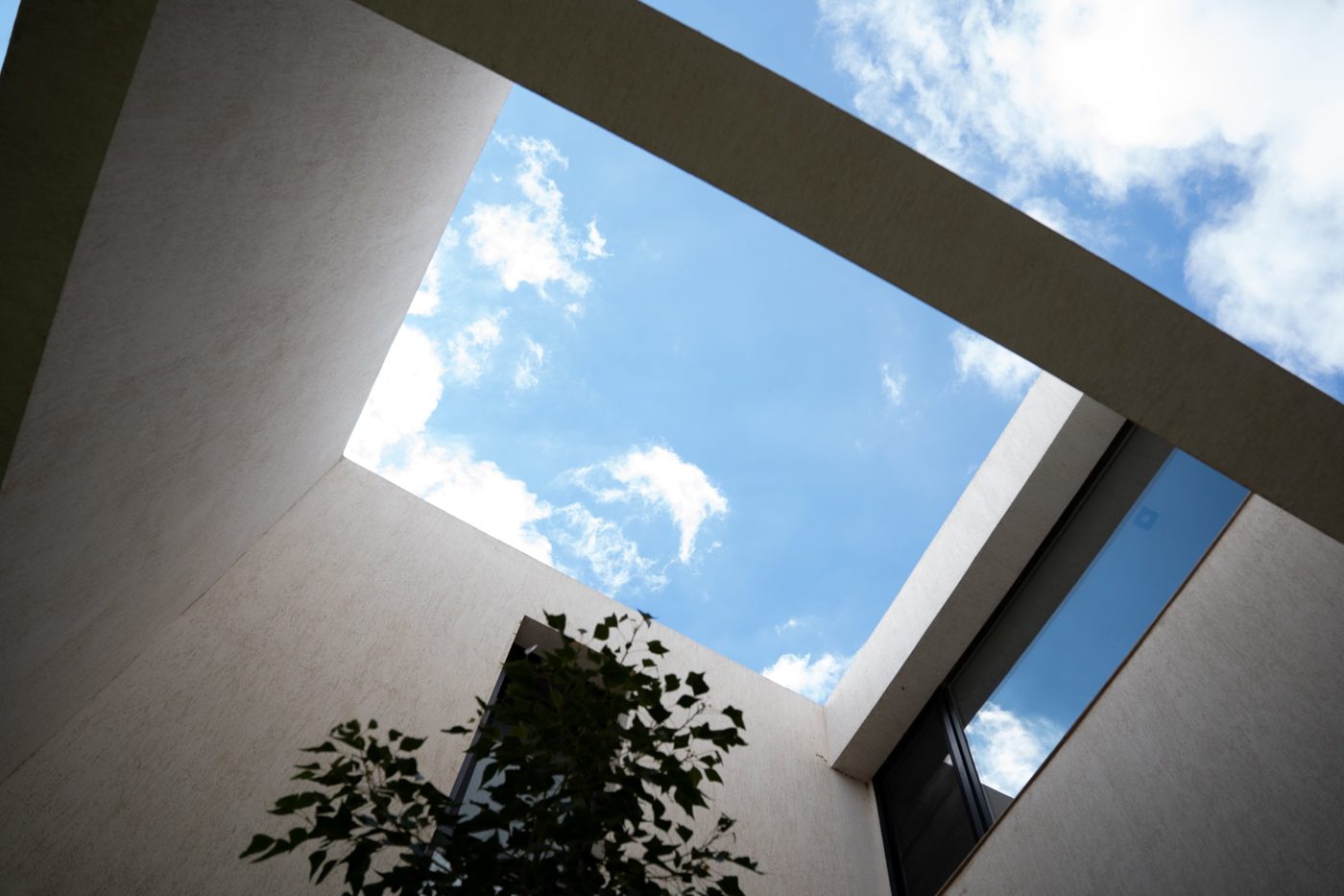 Habitat — proyecto 1